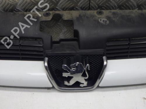 Grille PEUGEOT 206 SW (2E/K) 1.4 | BP30124288C40