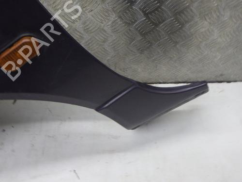 Guarda-lamas esquerdo RENAULT TWINGO I (C06_) 1.2 (C066, C068) | BP30648139C41