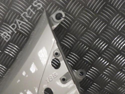Left front fenders RENAULT CLIO III (BR0/1, CR0/1) 1.5 dCi (BR17, CR17) | BP24287645C41 