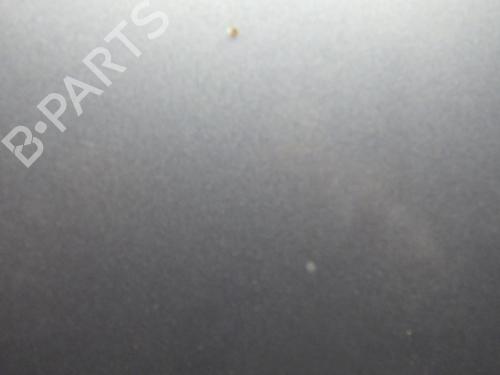 Hood RENAULT SCÉNIC II (JM0/1_) 1.6 (JM0C, JM0J, JM1B) | BP31857431C1 