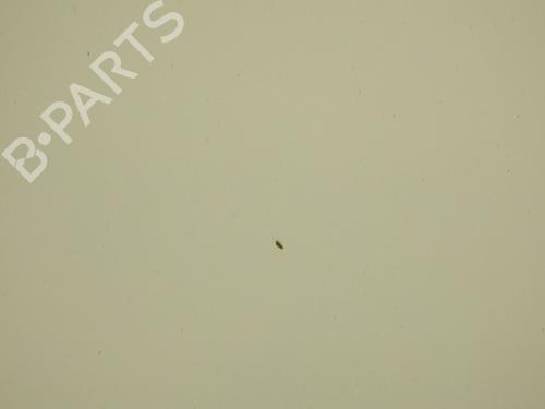 Left tailgate RENAULT TRAFIC II Van (FL) 2.0 dCi 90 (FL0H, FL00, FL01, FL0M, FL0P, FL0S) | BP37671287C76 - Image 11