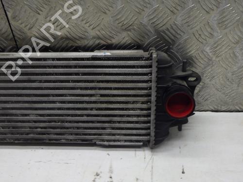 Water radiator RENAULT TRAFIC II Bus (JL) 2.0 dCi 90 (JL00, JL01, JL0H, JL0M, JL0P, JL0S) | BP30595569M31