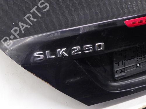 Tailgate MERCEDES-BENZ SLK (R172) 250 CDI / d (172.403) | BP30397510C6 