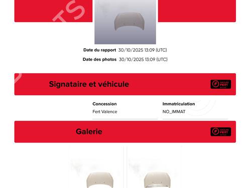 Hood PEUGEOT 308 I (4A_, 4C_) 1.6 HDi | BP29974260C1