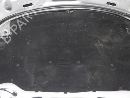 Hood VW GOLF V (1K1) 1.9 TDI | BP29571075C1 