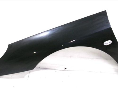 Parafango anteriore sinistro PEUGEOT 407 (6D_) 2.0 HDi 135 (6DRHRH, 6DRHRE, 6DRHRG, 6DRHRJ) (136 hp) 29880478