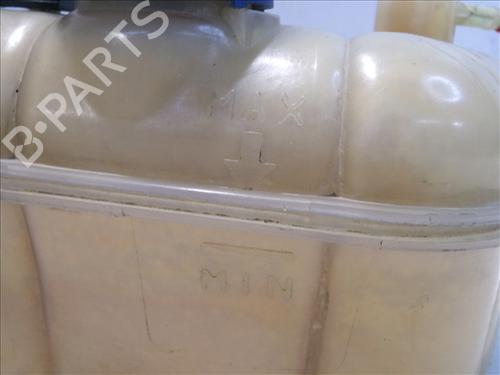 Expansion tank FIAT BRAVO II (198_) 1.6 D Multijet (198AXH1B) | BP24563321C120 