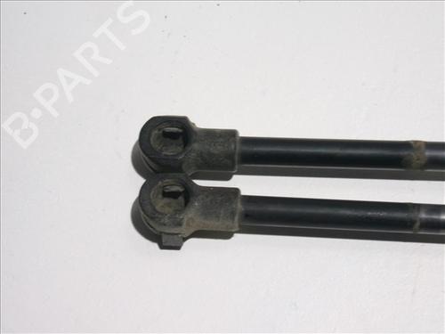 Tailgate lift support BMW X5 (E53) 3.0 d | BP24557969C138