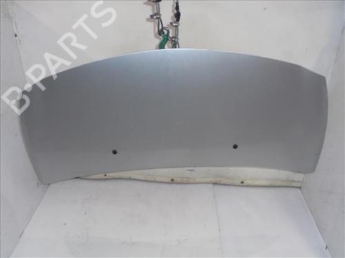 Used Hood RENAULT CLIO III (BR0/1, CR0/1) 1.5 dCi (C/BR0G, C/BR1G) (68 hp) 24563215