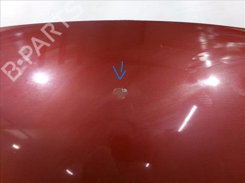 Hood FIAT BRAVO II (198_) 1.6 D Multijet (198AXH1B) | BP24563324C1 