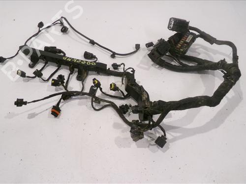 Used Cable KIA CARENS IV 1.6 GDi (135 hp) 29484173