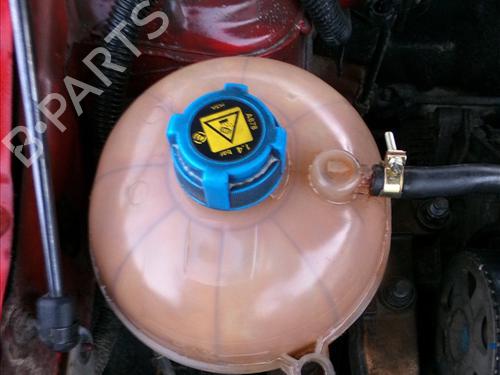 Used Expansion tank FIAT STILO (192_) 1.6 16V (192_XB1A) (103 hp) 29623050
