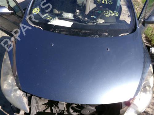 Used Hood PEUGEOT 307 (3A/C) 2.0 HDi 90 (90 hp) 25254969