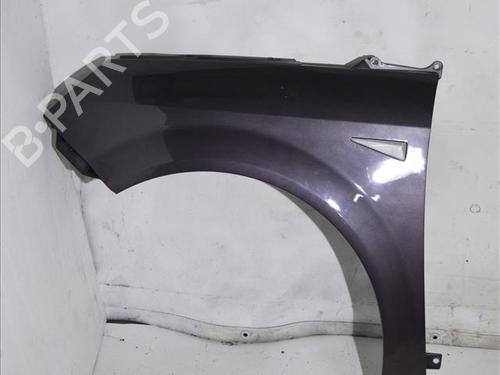 Used Left front fenders RENAULT SCÉNIC II (JM0/1_) 1.9 dCi (JM0G, JM12, JM1G, JM2C) (120 hp) 26204093