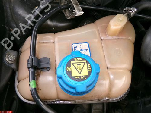 Used Expansion tank FIAT BRAVO II (198_) 1.6 D Multijet (198AXL1B) (120 hp) 29813283