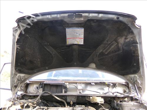 Hood FIAT MULTIPLA (186_) 1.9 JTD 105 (186AXB1A) | BP30187078C1