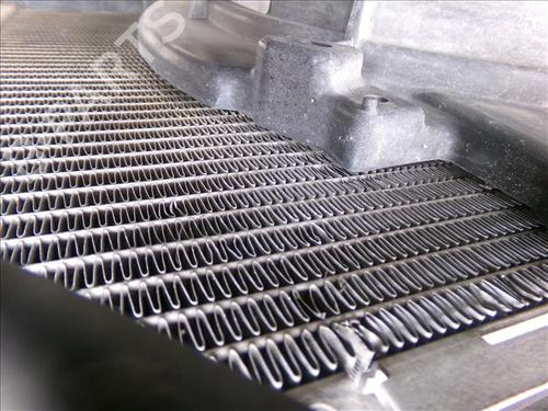 Used Water radiator RENAULT CLIO III (BR0/1, CR0/1) 1.2 16V (BR02, BR0J, BR11, CR02, CR0J, CR11) (75 hp) 30966377