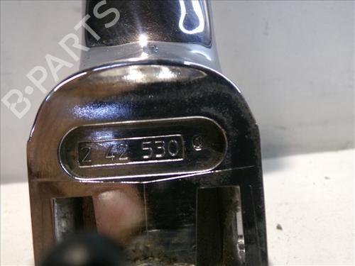 Rear right exterior door handle FIAT BRAVO II (198_) 1.6 D Multijet (198AXH1B) | BP24563354C130