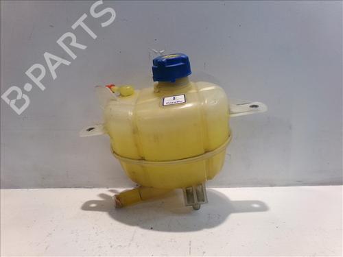 Used Expansion tank PEUGEOT BIPPER (AA_) 1.3 HDi 75 (75 hp) 24560092