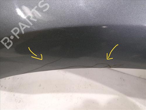 Left front fenders CITROËN C4 I (LC_) 1.4 16V | BP29504681C41 