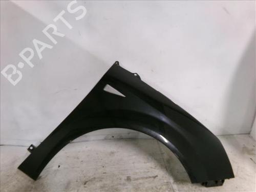 Used Right front fenders RENAULT SCÉNIC II (JM0/1_) 1.5 dCi (JM1E, JM16) (106 hp) 24566575