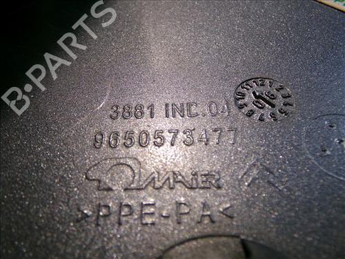 Fuel flap CITROËN C4 I (LC_) 1.4 16V | BP29520527C131 