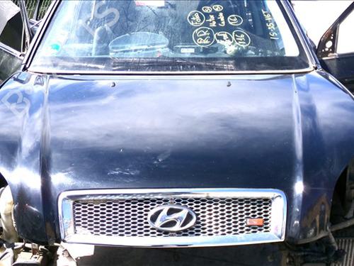 Used Hood HYUNDAI TUCSON (JM) 2.0 CRDi (140 hp) 25434905