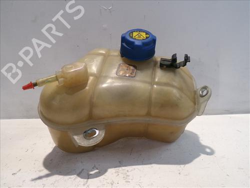 Expansion tank FIAT BRAVO II (198_) 1.6 D Multijet (198AXH1B) | BP24563321C120 