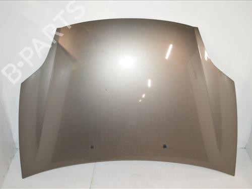 Used Hood FIAT BRAVO II (198_) 1.4 (198AXA1B) (90 hp) 24559325