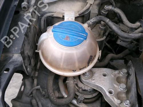 Used Expansion tank SEAT IBIZA IV (6J5, 6P1) 1.2 (70 hp) 24568772