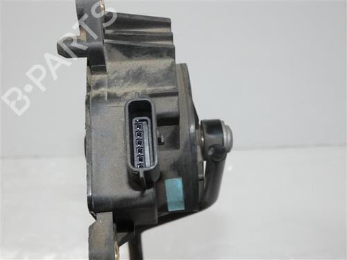Gaspedaal RENAULT CLIO III (BR0/1, CR0/1) 1.5 dCi (C/BR0G, C/BR1G) (68 hp) 24556419