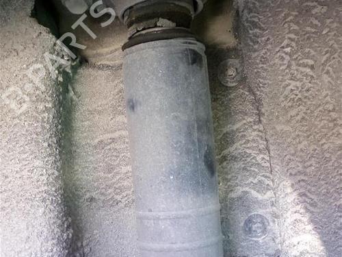 Used Left rear shock absorber FIAT LINEA (323_, 110_) 1.6 D Multijet (105 hp) 24859507