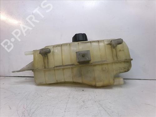 Expansion tank RENAULT CLIO III (BR0/1, CR0/1) 1.5 dCi (C/BR0G, C/BR1G) | BP24860608C120 