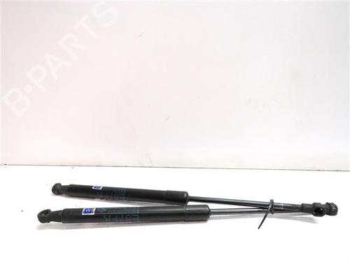 Used Hood lift support BMW 1 (E87) 120 d (163 hp) 24556439