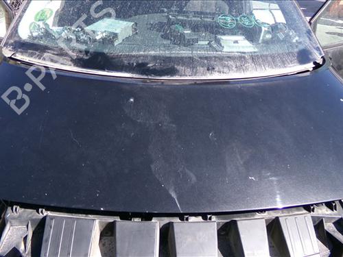 Hood RENAULT SCÉNIC II (JM0/1_) 1.6 16V (JM1R) | BP29423457C1