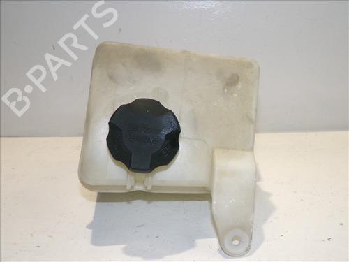 Expansion tank HYUNDAI i20 I (PB, PBT) 1.2 | BP24562957C120