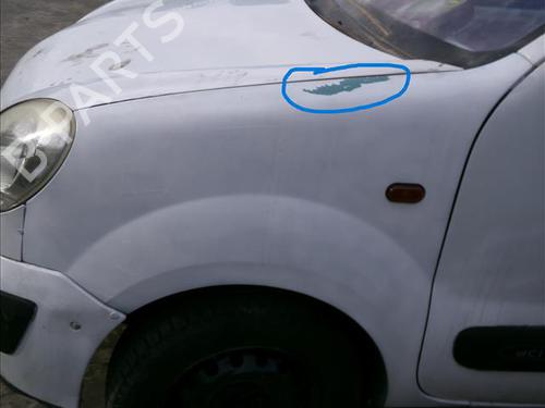 Used Left front fenders RENAULT KANGOO (KC0/1_) 1.5 dCi (KC08, KC09) (82 hp) 26204183