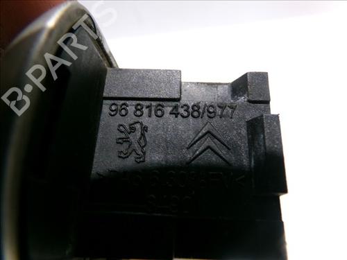 Front right exterior door handle PEUGEOT 308 I (4A_, 4C_) 1.6 16V | BP24560582C129 