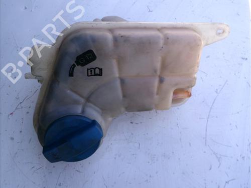 Used Expansion tank AUDI A6 C6 Avant (4F5) 2.0 TDI (140 hp) 25302066