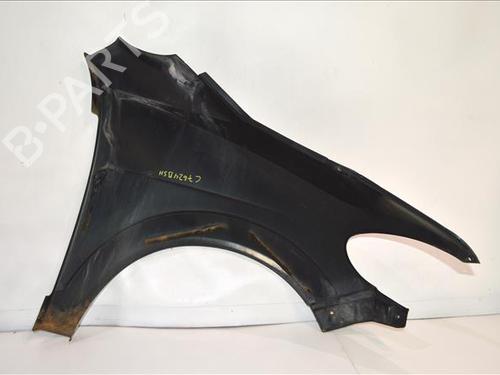 Left front fenders LIGIER AMBRA 0.5 | BP24565207C41 