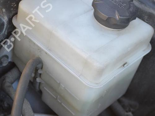 Used Expansion tank HYUNDAI i20 I (PB, PBT) 1.2 (78 hp) 24562957