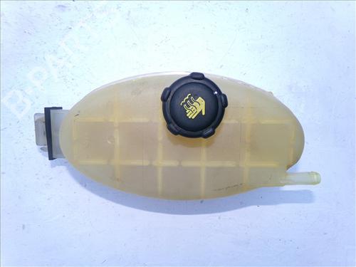 Used Expansion tank RENAULT TRAFIC II Bus (JL) 2.0 dCi 115 (JL00, JL01, JL0H, JL0M, JL0U) (114 hp) 29385212