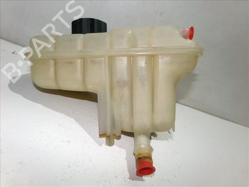 Expansion tank PEUGEOT 407 (6D_) 2.0 HDi 135 (6DRHRH, 6DRHRE, 6DRHRG, 6DRHRJ) | BP26203958C120 