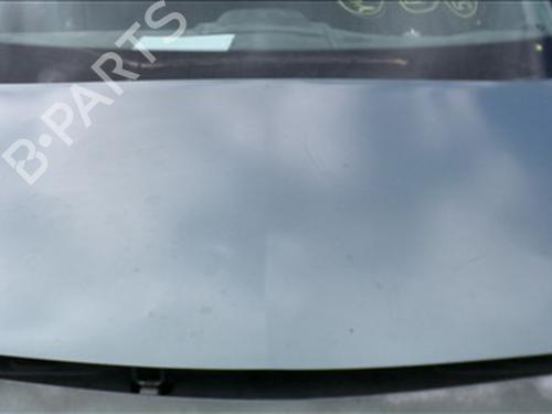 Used Hood RENAULT MEGANE II (BM0/1_, CM0/1_) 1.6 16V (BM0C, CM0C) (113 hp) 24860881