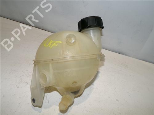 Expansion tank CITROËN C4 II (NC_) 1.6 BlueHDi 120 | BP24563268C120 