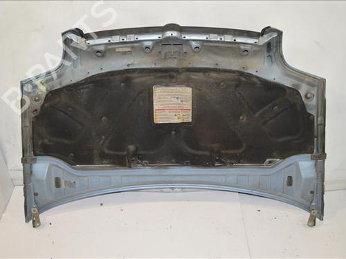 Hood FIAT DOBLO Box Body/MPV (223_) 1.3 JTD 16V | BP24859441C1 