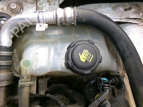 Used Expansion tank RENAULT MEGANE III Hatchback (BZ0/1_, B3_) 1.2 TCe (BZ2B, BZ11) (116 hp) 29052294