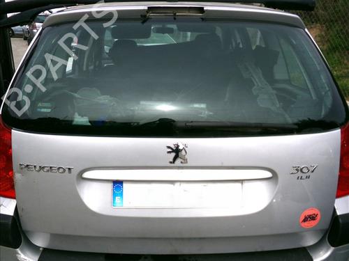 Used Tailgate PEUGEOT 307 Break (3E) 1.6 HDi 110 (109 hp) 25280003