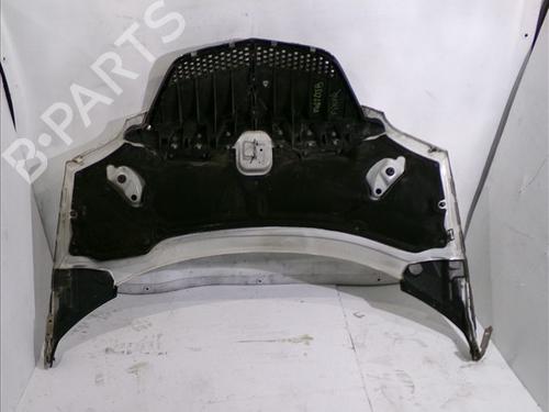 Hood LANCIA PHEDRA (179_) 2.0 (179AXA11, 179AXA1A) | BP24565004C1 
