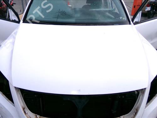 Used Hood VW TIGUAN (5N_) 2.0 TDI (140 hp) 29944026